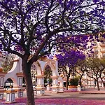 Апартаменти Higueronrentals Paradise Lift Фуенхірола