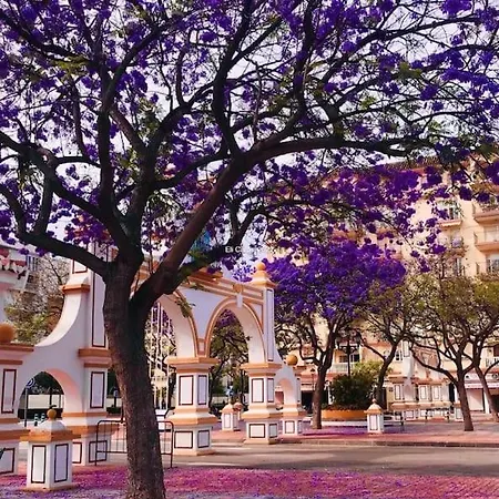 Apartamento Higueronrentals Paradise Lift Fuengirola